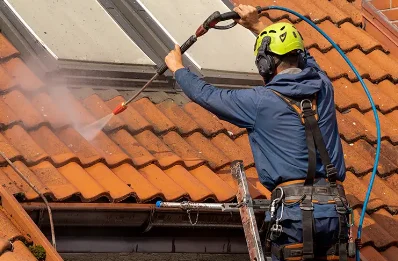 Démoussage et hydrofuge de toiture à Puygros